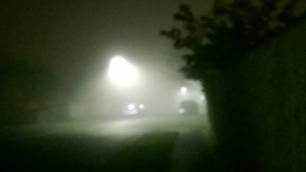 Foggy evening walk  by cataylor41