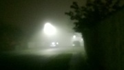 2nd Nov 2015 - Foggy evening walk 