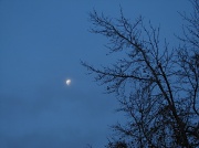 2nd Feb 2010 - Good Morning Moon