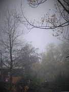 3rd Nov 2015 - A foggy November afternoon !