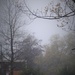 A foggy November afternoon ! by beryl