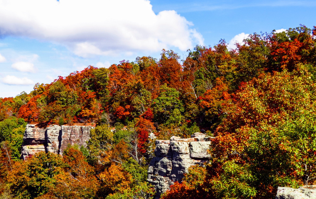 Bluffs and Fall Color - Doesn't Get Better by milaniet