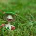 (Day 262) - Mushroom Dude by cjphoto