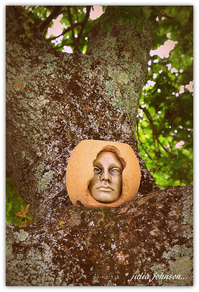 Face in the Tree.. by julzmaioro
