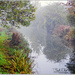 A Foggy Morning On The Canal by carolmw