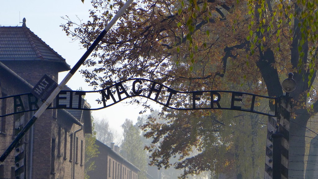 Auschwitz by orchid99