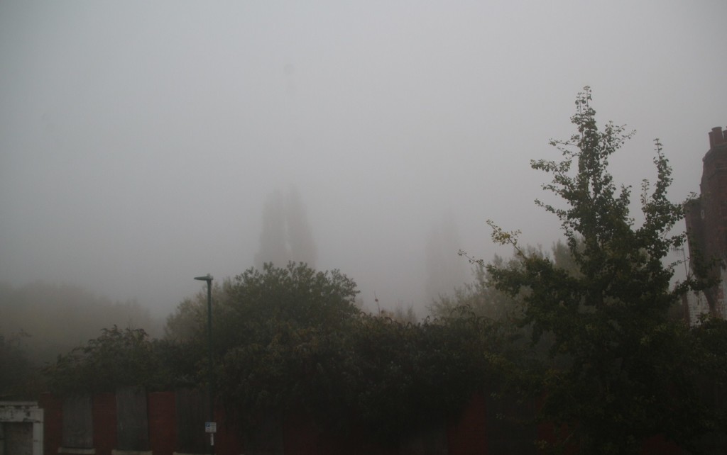 Misty Morning by oldjosh