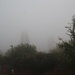 Misty Morning by oldjosh