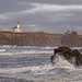 Cape Arago Lighthouse  by jgpittenger