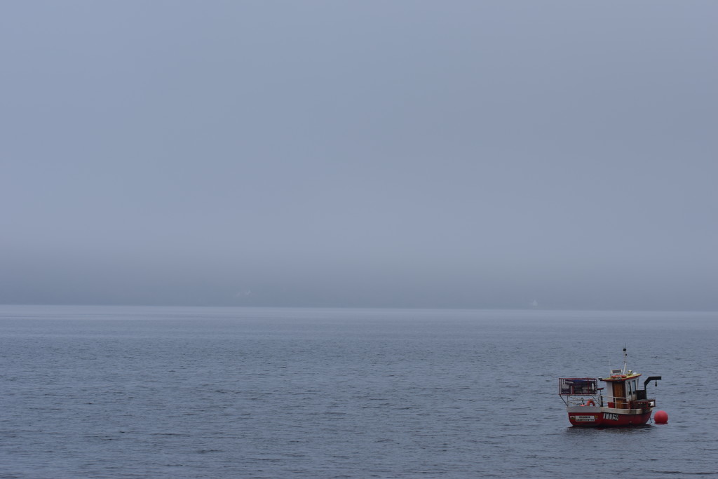 Loch Fyne fog by christophercox