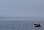 3rd Nov 2015 - Loch Fyne fog