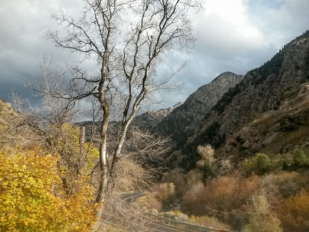 Utah Mountains  by wilkinscd