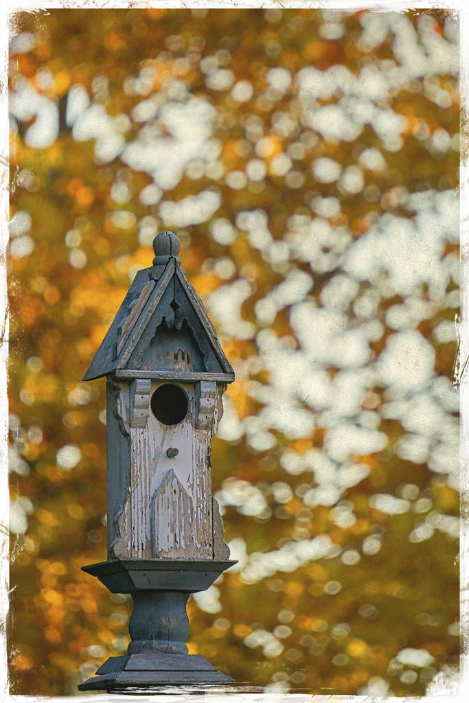 Fall Birdhouse by gardencat