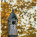 Fall Birdhouse by gardencat