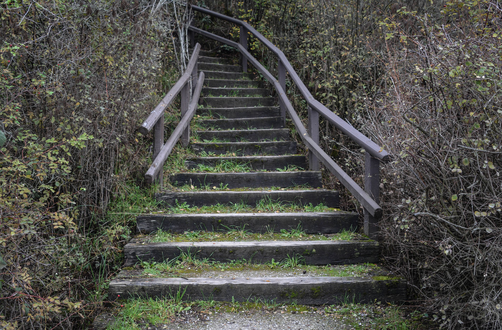 ~Stairway~ by crowfan