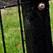 Spiders Web by oldjosh