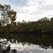 Edisto River, Dorchester County, South Carolina by congaree