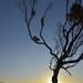 Point Peron Sunset_DSC4557 by merrelyn