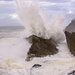 High Surf At Shore Acres by jgpittenger