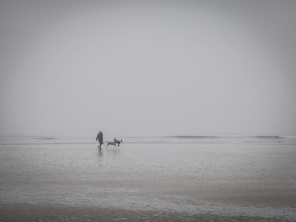 On Leven Beach by frequentframes