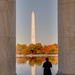 The Wonders Of D.C.  by lesip