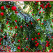 Berries Galore! by carolmw