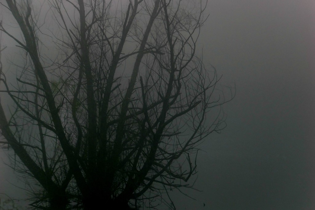 The Last Fog by linnypinny