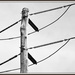 Wires _DSC4653 by merrelyn
