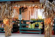 4th Nov 2015 - Isom's Orchard Fruit Stand