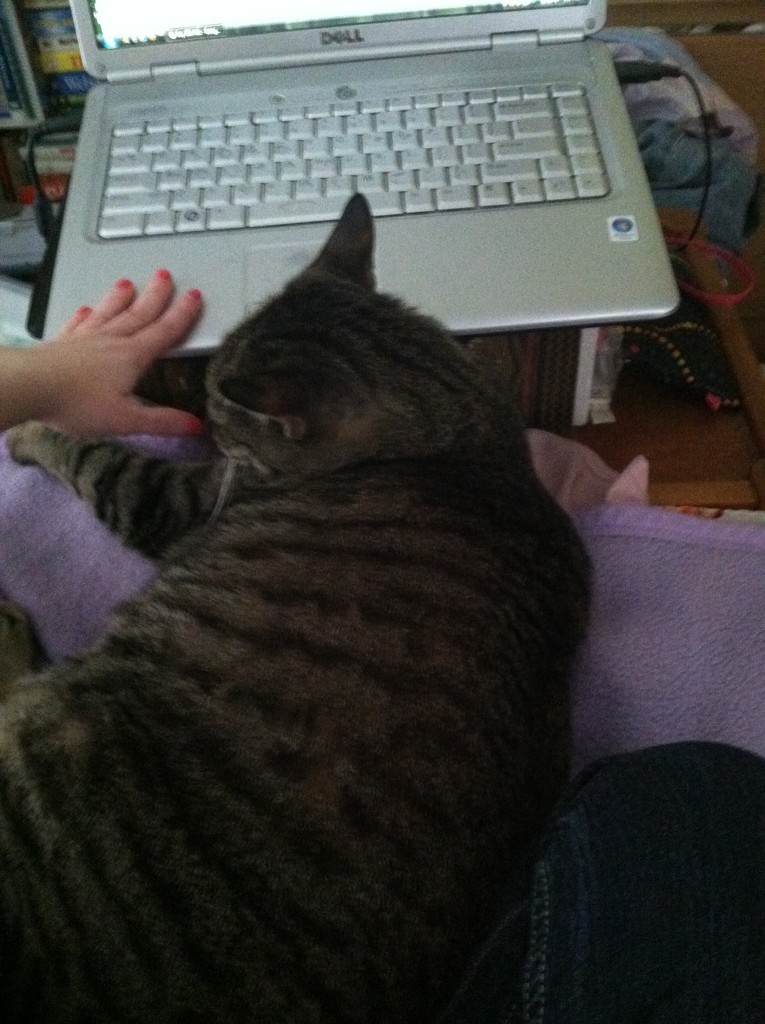 Cat is helping me write by tatra