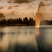Sunset at the Botanical Gardens by taffy