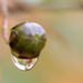 Droplet by ingrid01