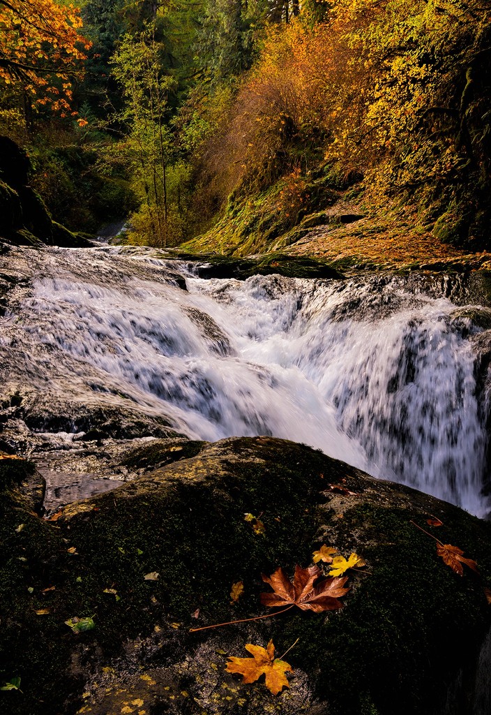 Sweet Creek In Fall focus stacked by jgpittenger