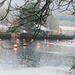 Rain along the river Dart..... by susie1205