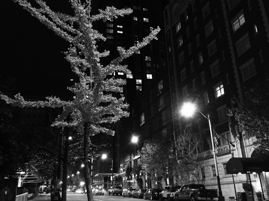 A Walk Home In The City At Night... by seattle