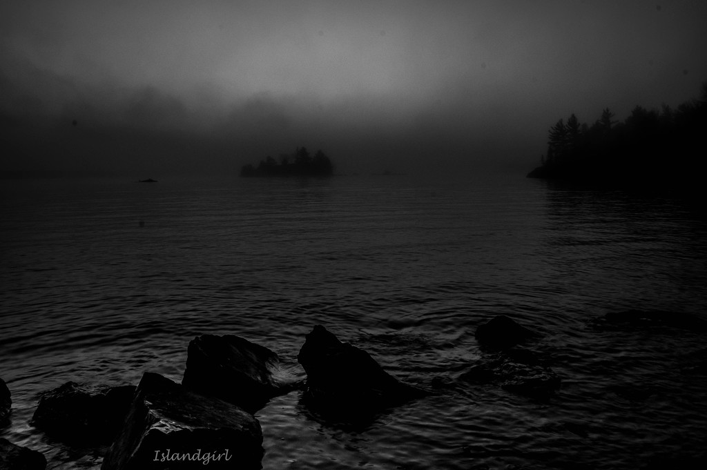 Early Morning Fog     by radiogirl