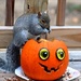 Squirrel Still Trick Or Treating  by paintdipper