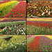 Floriade 2 by terryliv