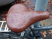 5th Nov 2015 - Damp saddle