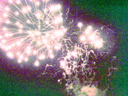 6th Nov 2015 - More fireworks