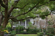 7th Nov 2015 - Garden, historic district, Charleston, SC