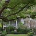 Garden, historic district, Charleston, SC by congaree