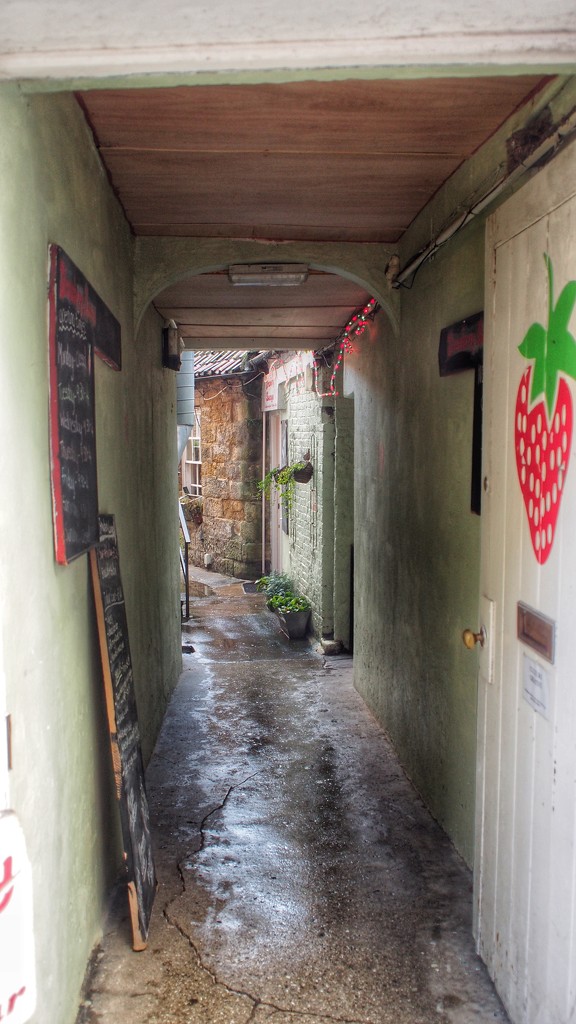 Strawberry Alley by happypat