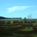 Flood Plain in the Autumn by daisymiller