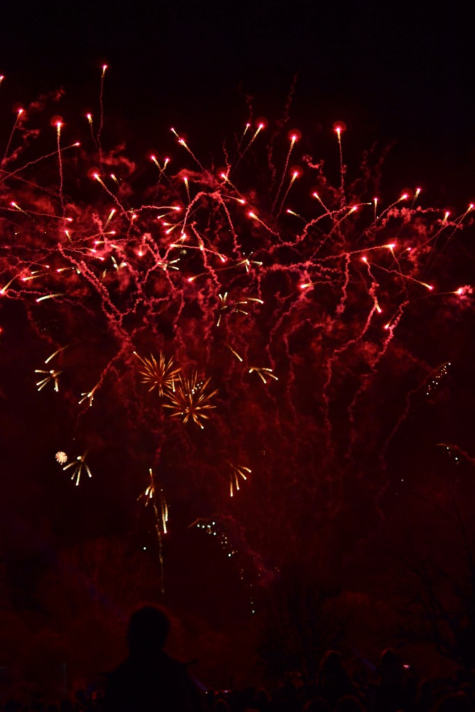 Fireworks by tomdoel