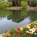 Floriade Reflections by terryliv