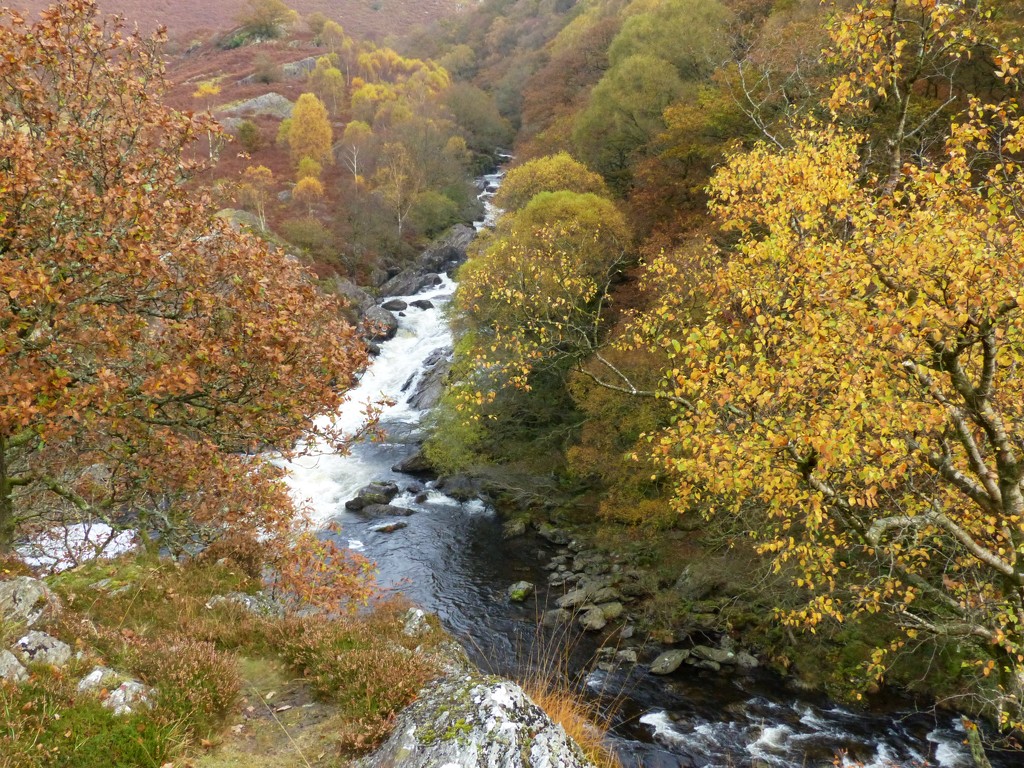 Autumn Colours in the Twyi Valley by susiemc