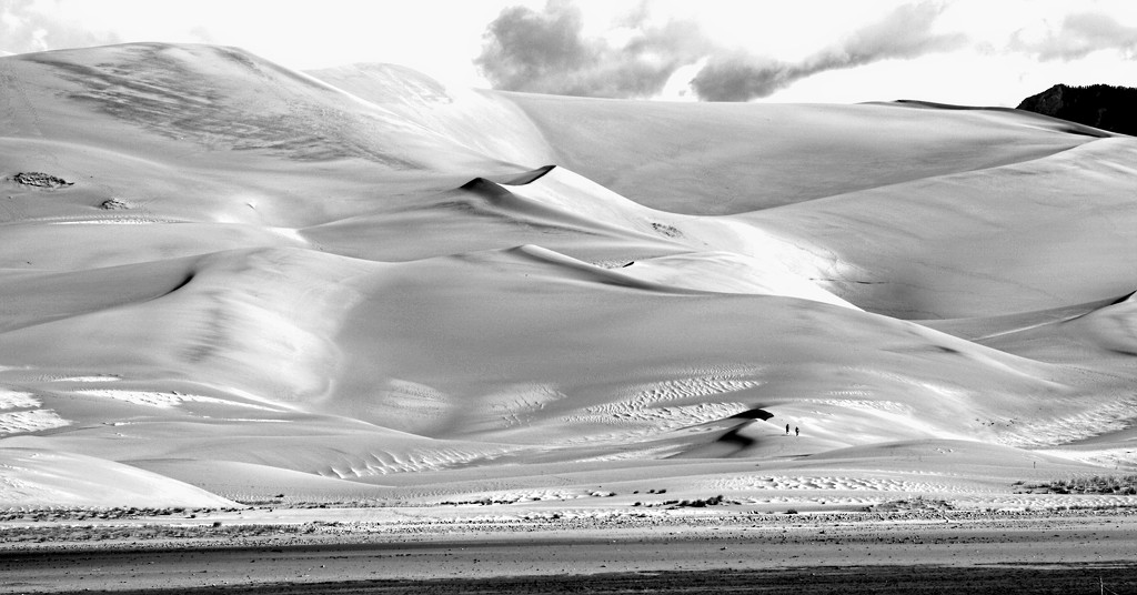 Sand Dunes Monochrome by tosee