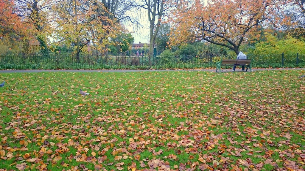 Autumn in the park by boxplayer