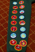 2nd Nov 2015 - Cub Badges